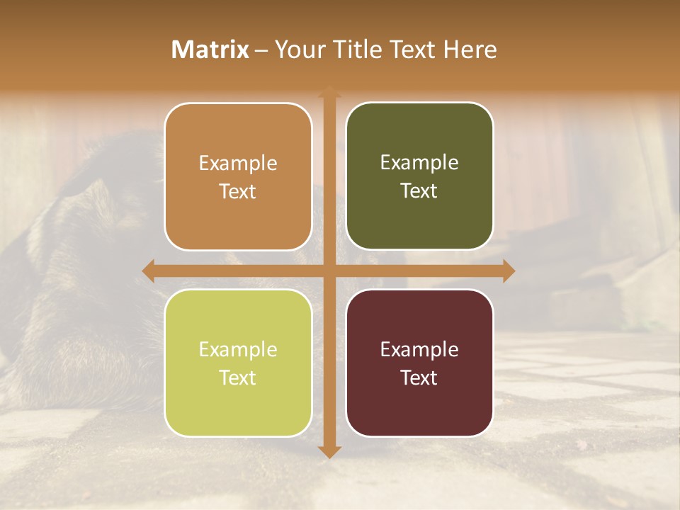 A Dog Laying On The Ground With A Name Plate PowerPoint Template