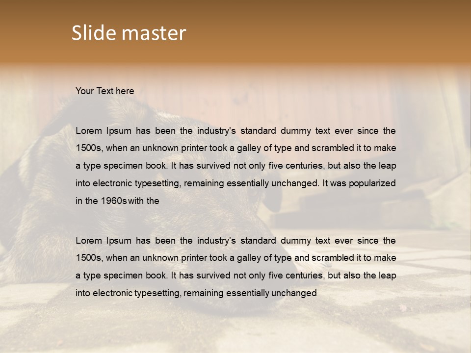 A Dog Laying On The Ground With A Name Plate PowerPoint Template