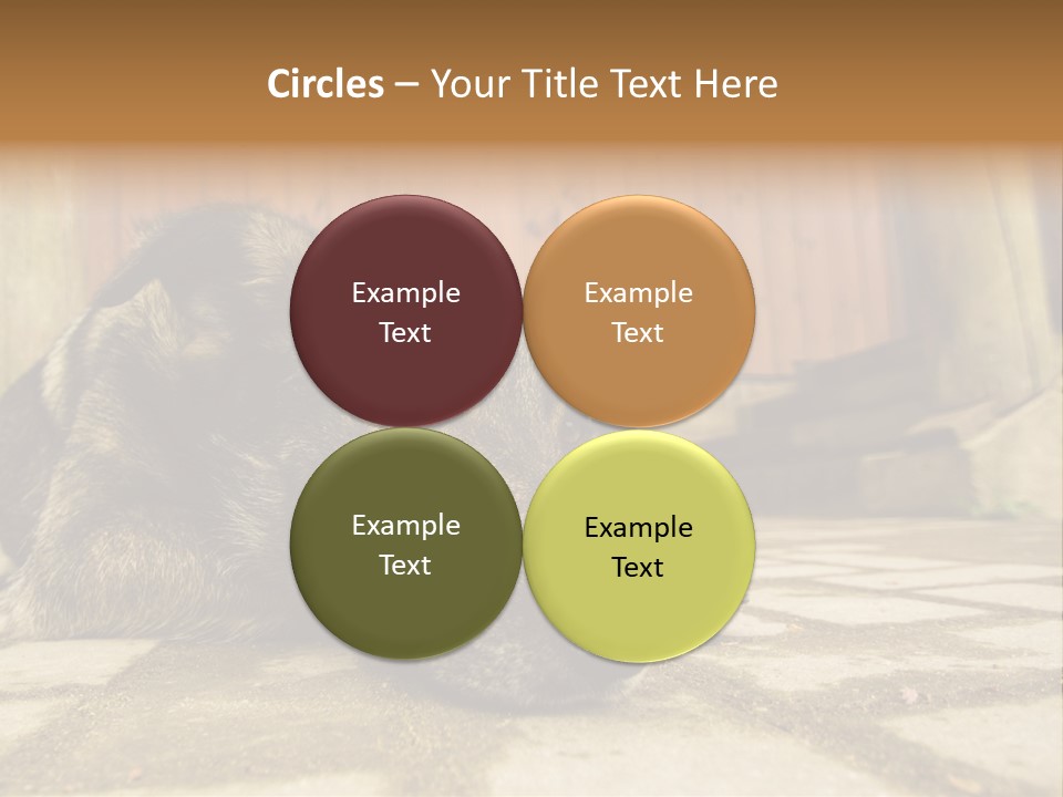 A Dog Laying On The Ground With A Name Plate PowerPoint Template