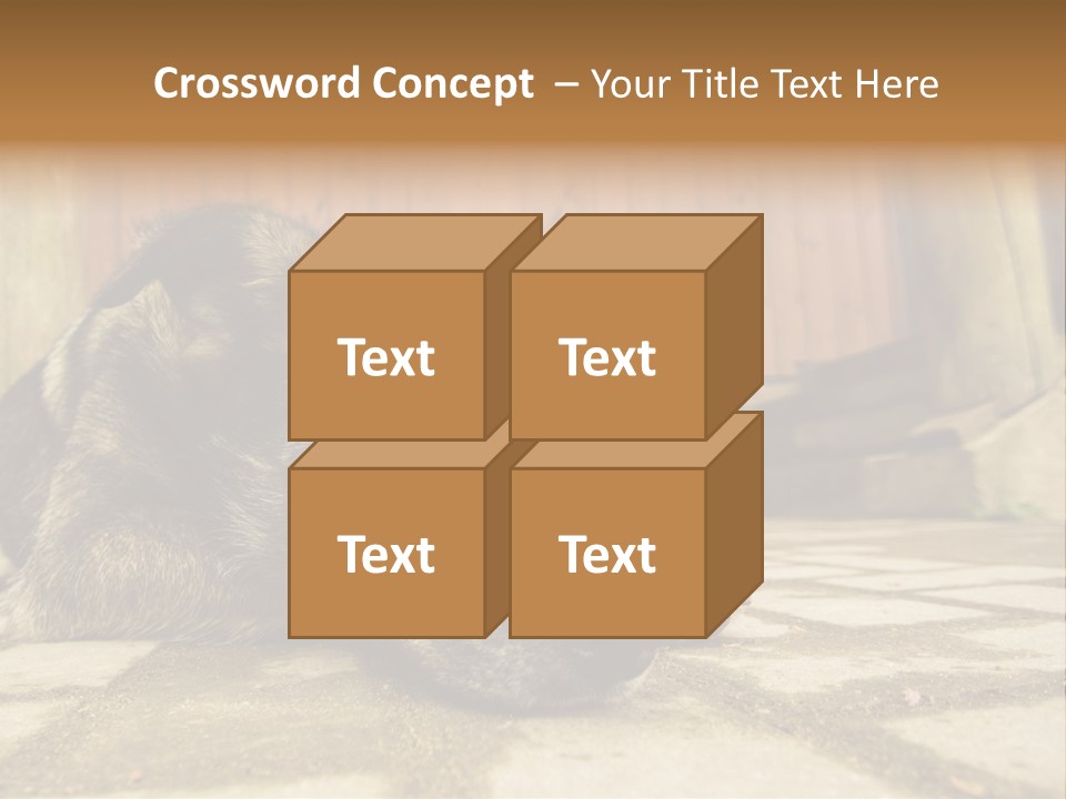 A Dog Laying On The Ground With A Name Plate PowerPoint Template