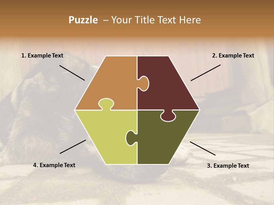 A Dog Laying On The Ground With A Name Plate PowerPoint Template