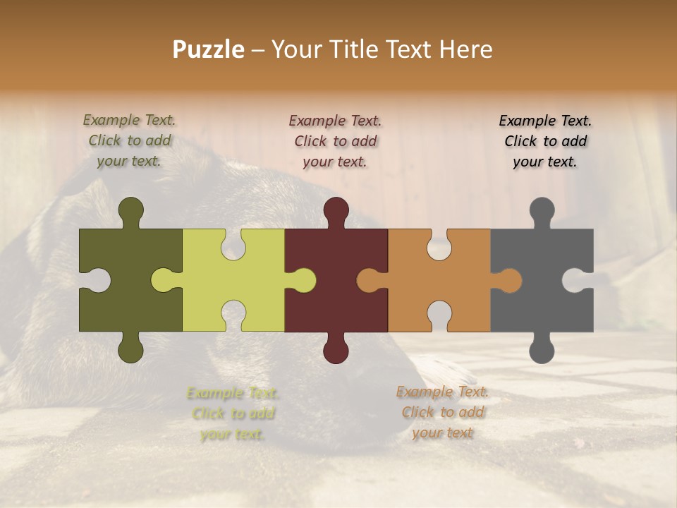 A Dog Laying On The Ground With A Name Plate PowerPoint Template