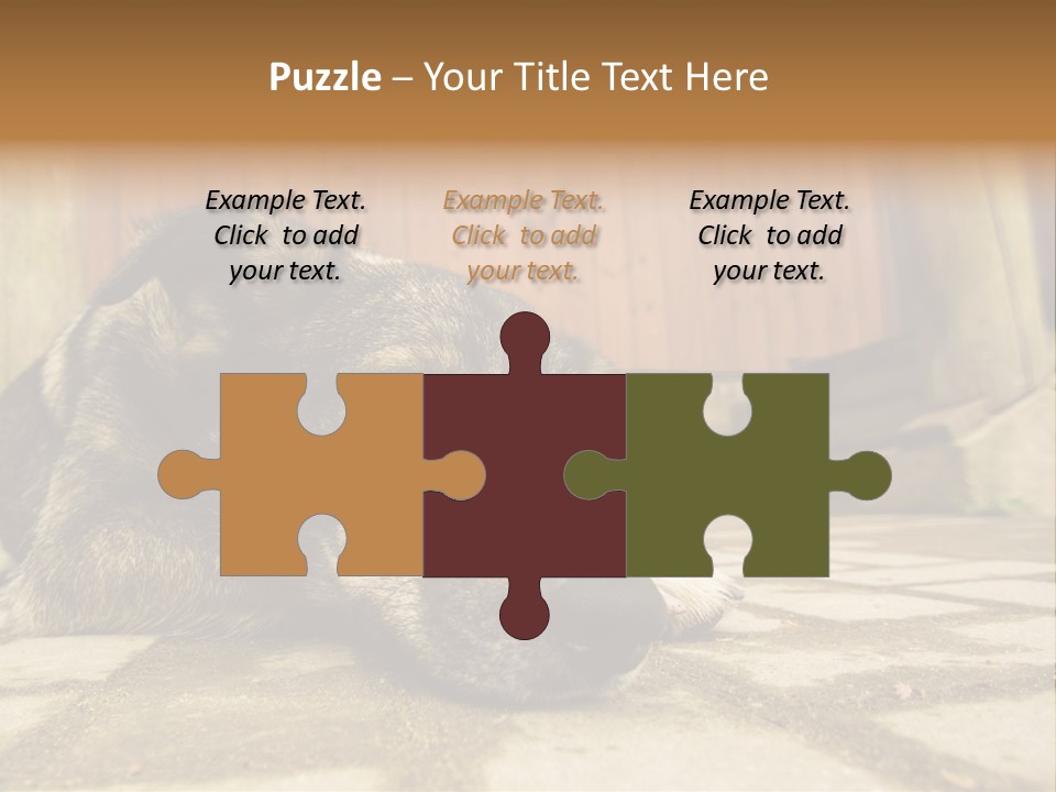 A Dog Laying On The Ground With A Name Plate PowerPoint Template