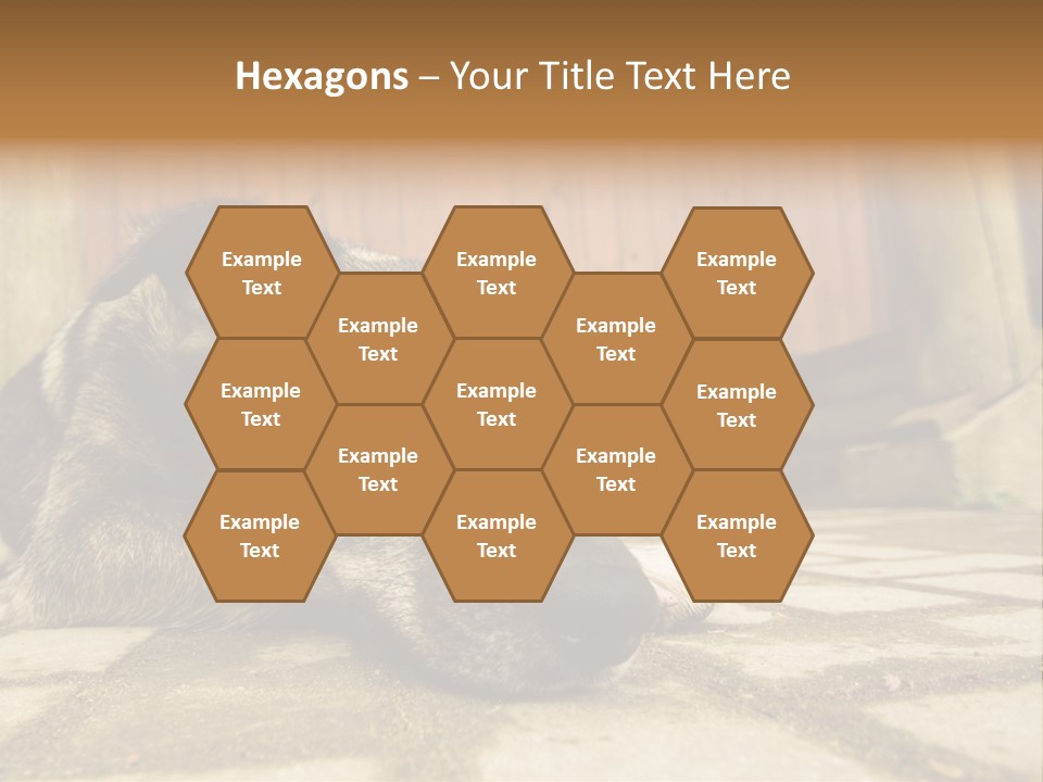 A Dog Laying On The Ground With A Name Plate PowerPoint Template