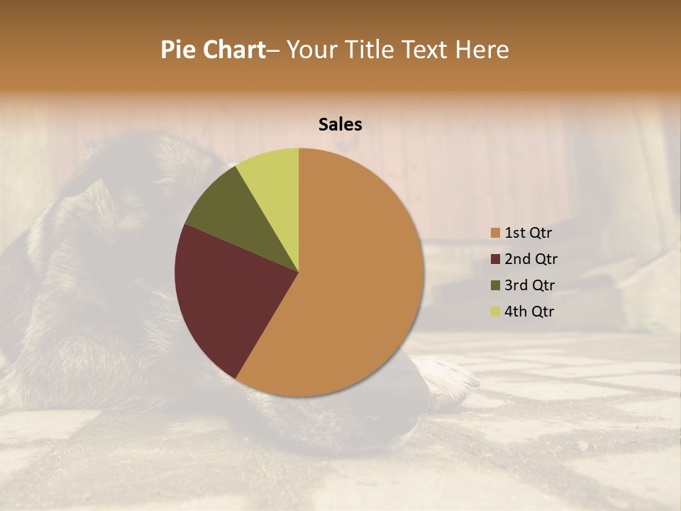 A Dog Laying On The Ground With A Name Plate PowerPoint Template