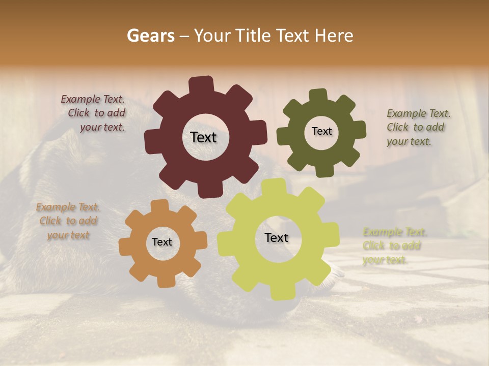 A Dog Laying On The Ground With A Name Plate PowerPoint Template