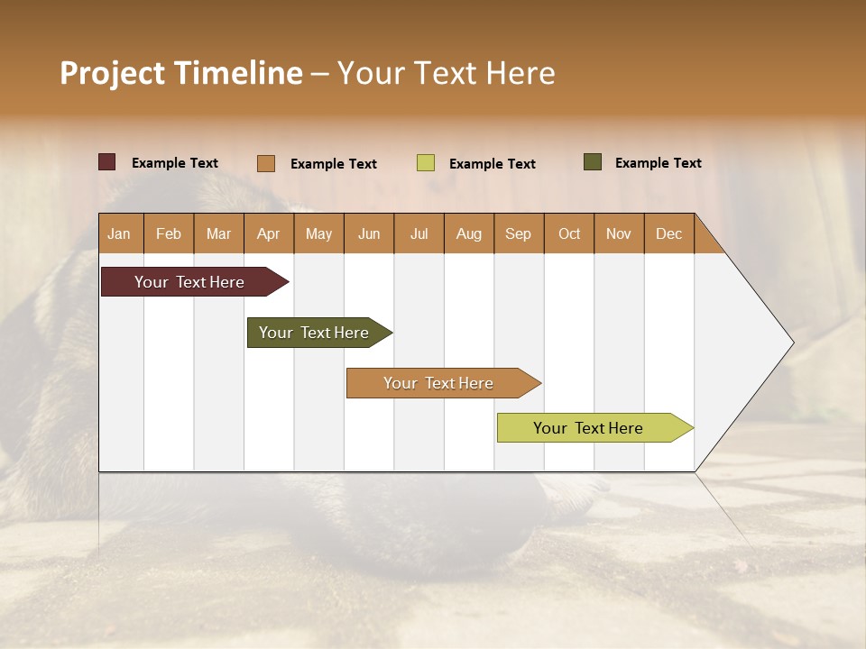 A Dog Laying On The Ground With A Name Plate PowerPoint Template