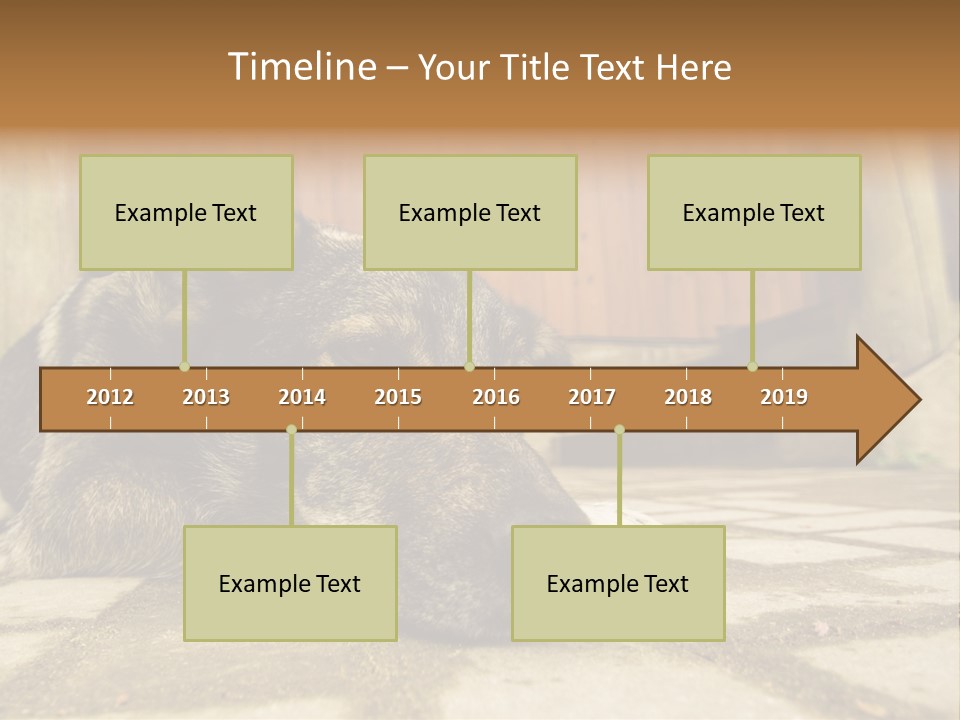 A Dog Laying On The Ground With A Name Plate PowerPoint Template