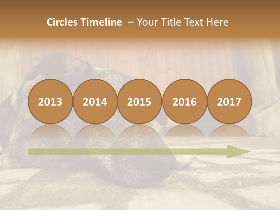 A Dog Laying On The Ground With A Name Plate PowerPoint Template