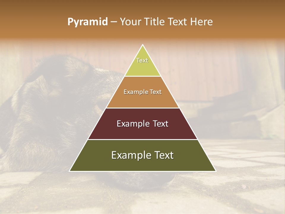 A Dog Laying On The Ground With A Name Plate PowerPoint Template