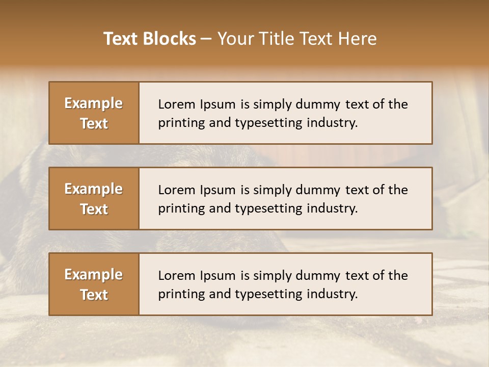 A Dog Laying On The Ground With A Name Plate PowerPoint Template