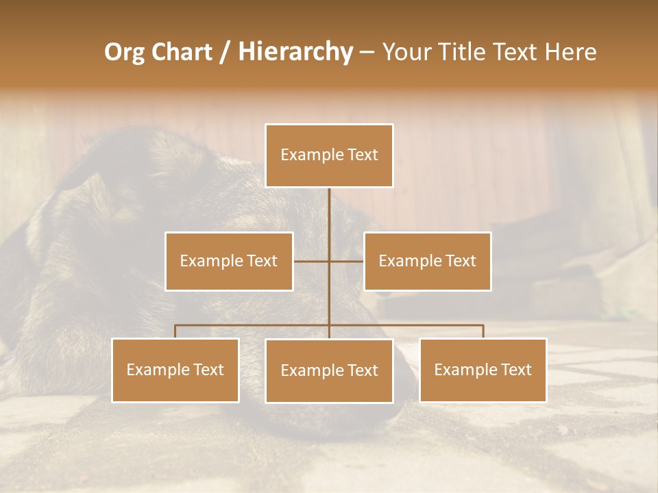 A Dog Laying On The Ground With A Name Plate PowerPoint Template