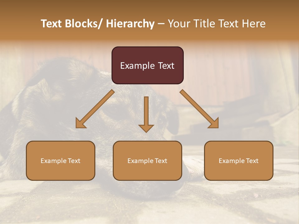 A Dog Laying On The Ground With A Name Plate PowerPoint Template