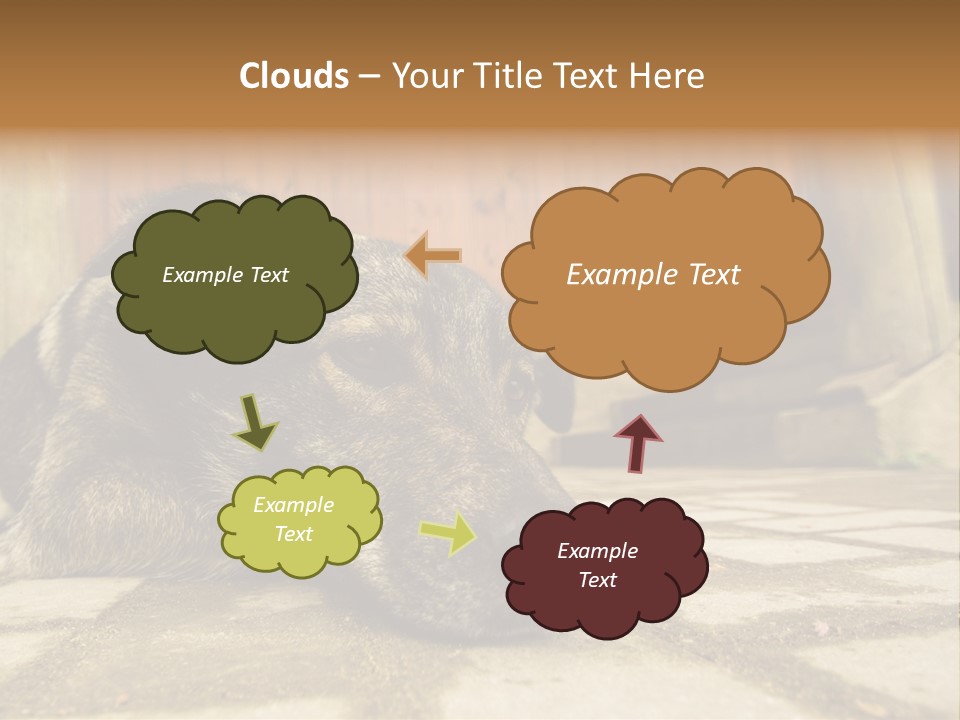 A Dog Laying On The Ground With A Name Plate PowerPoint Template