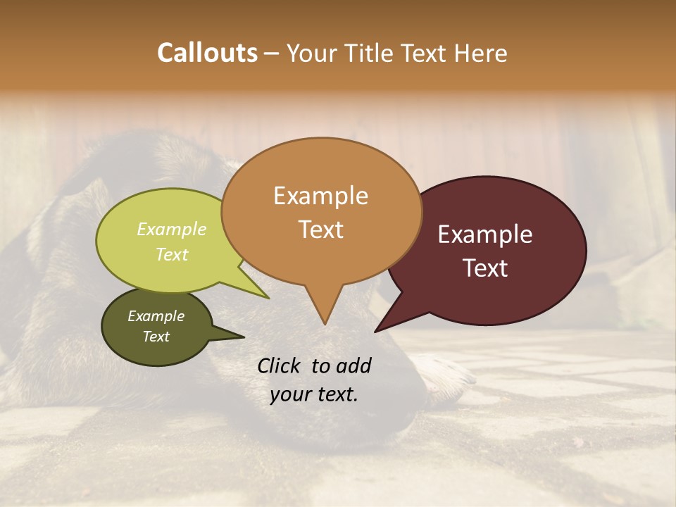 A Dog Laying On The Ground With A Name Plate PowerPoint Template