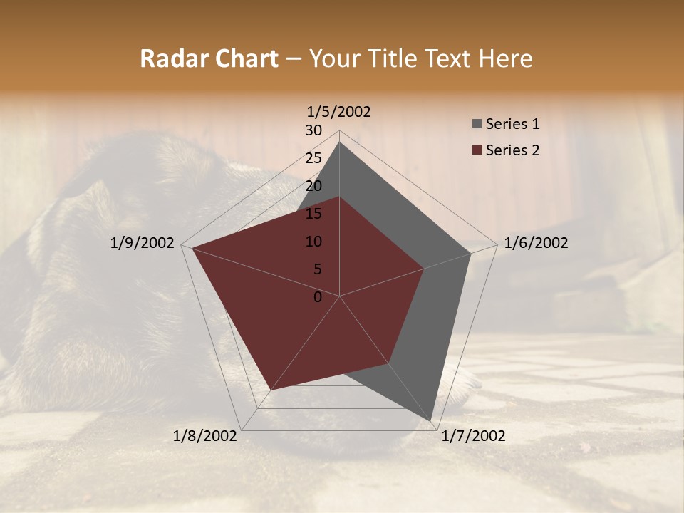 A Dog Laying On The Ground With A Name Plate PowerPoint Template