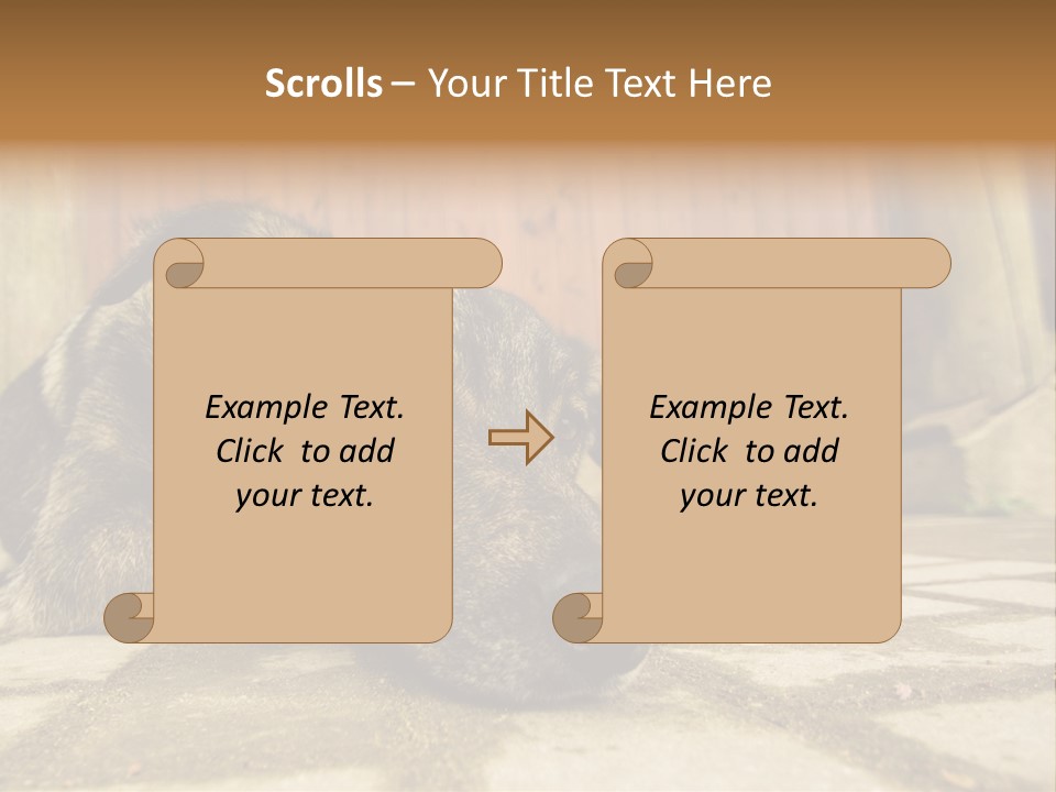 A Dog Laying On The Ground With A Name Plate PowerPoint Template
