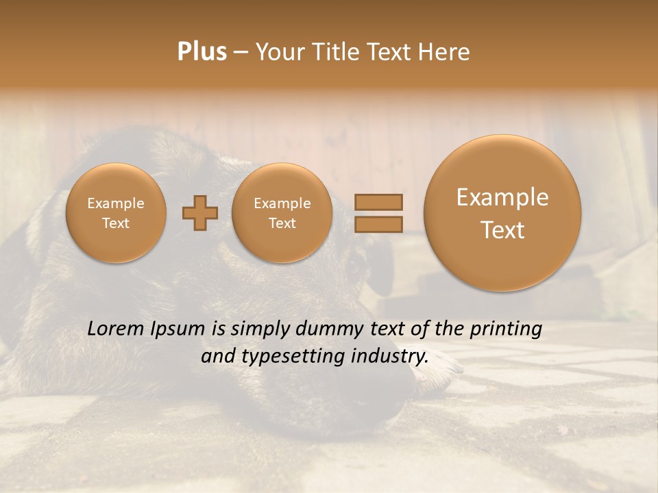 A Dog Laying On The Ground With A Name Plate PowerPoint Template