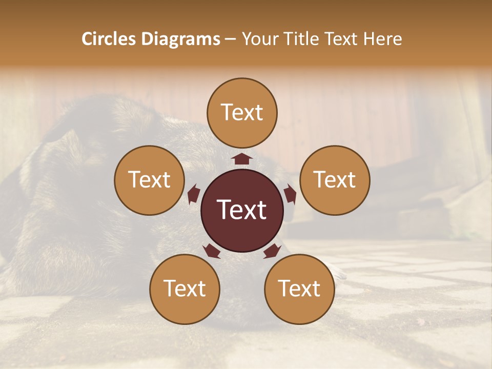 A Dog Laying On The Ground With A Name Plate PowerPoint Template