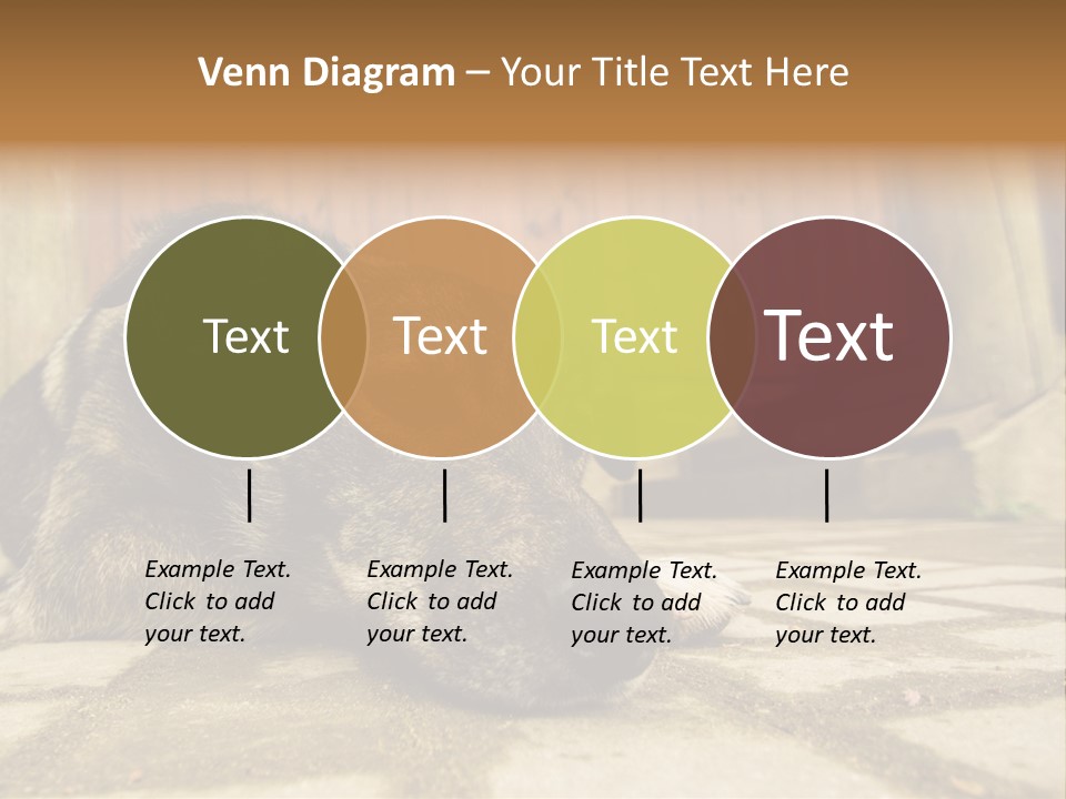 A Dog Laying On The Ground With A Name Plate PowerPoint Template