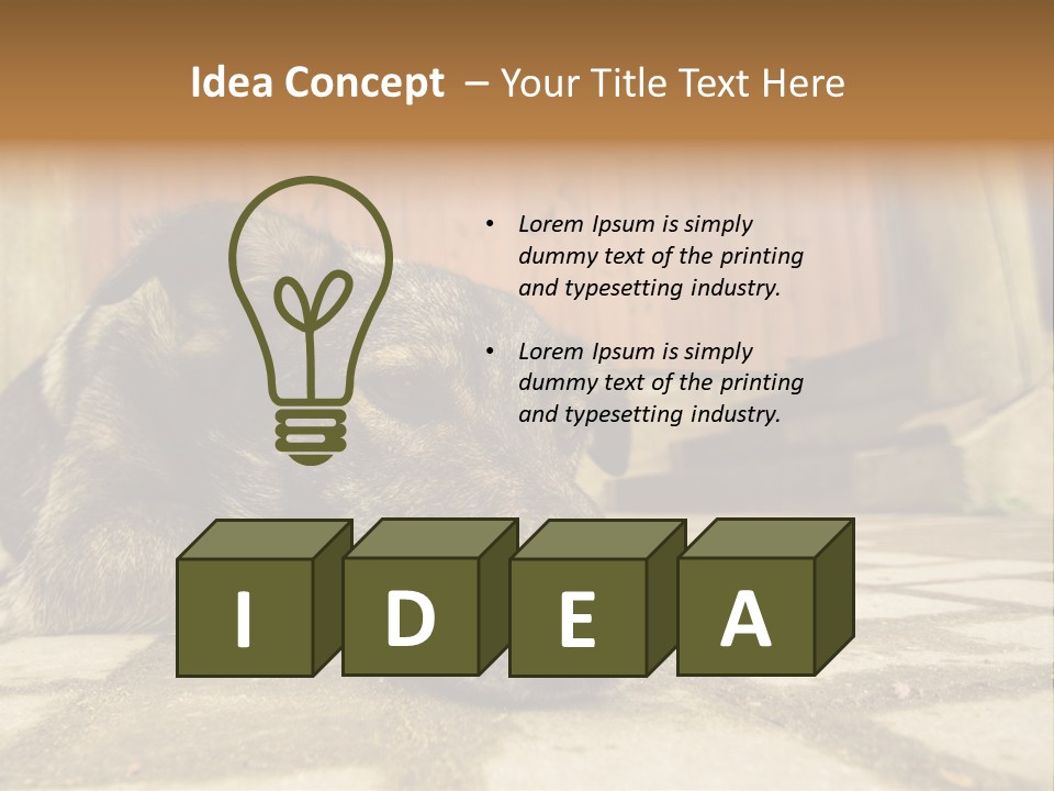 A Dog Laying On The Ground With A Name Plate PowerPoint Template