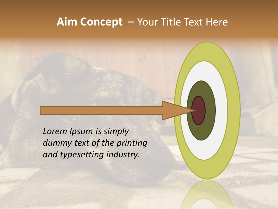 A Dog Laying On The Ground With A Name Plate PowerPoint Template