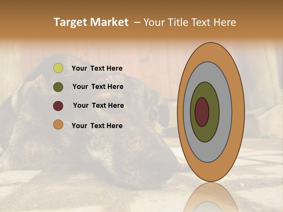 A Dog Laying On The Ground With A Name Plate PowerPoint Template