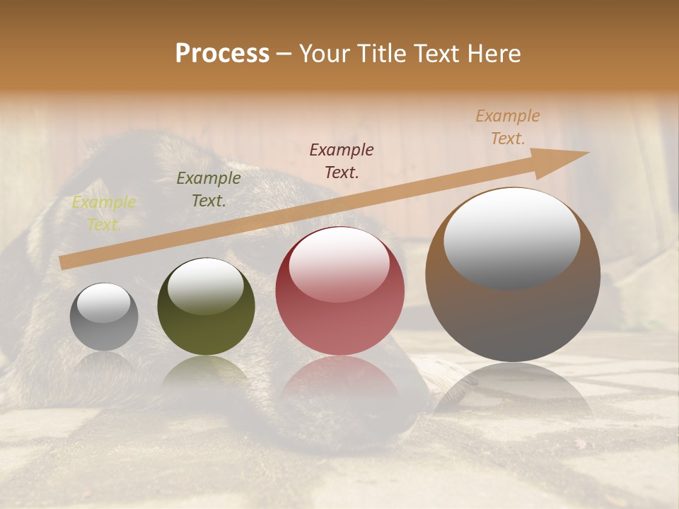 A Dog Laying On The Ground With A Name Plate PowerPoint Template