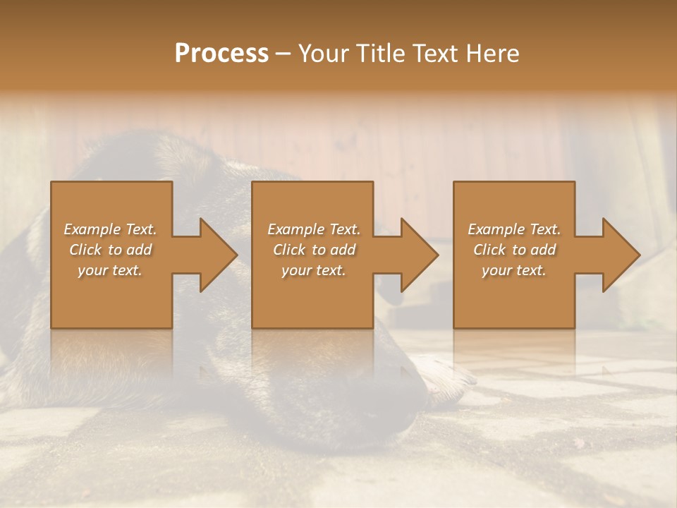 A Dog Laying On The Ground With A Name Plate PowerPoint Template