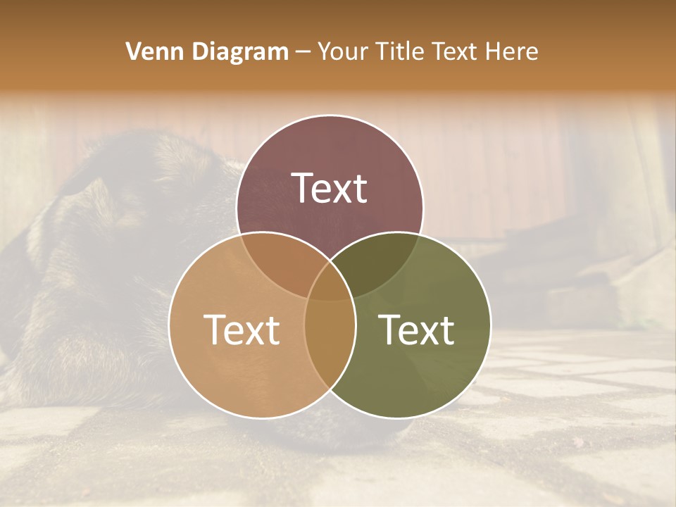 A Dog Laying On The Ground With A Name Plate PowerPoint Template