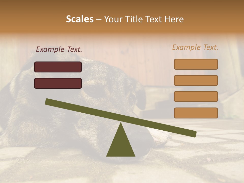 A Dog Laying On The Ground With A Name Plate PowerPoint Template