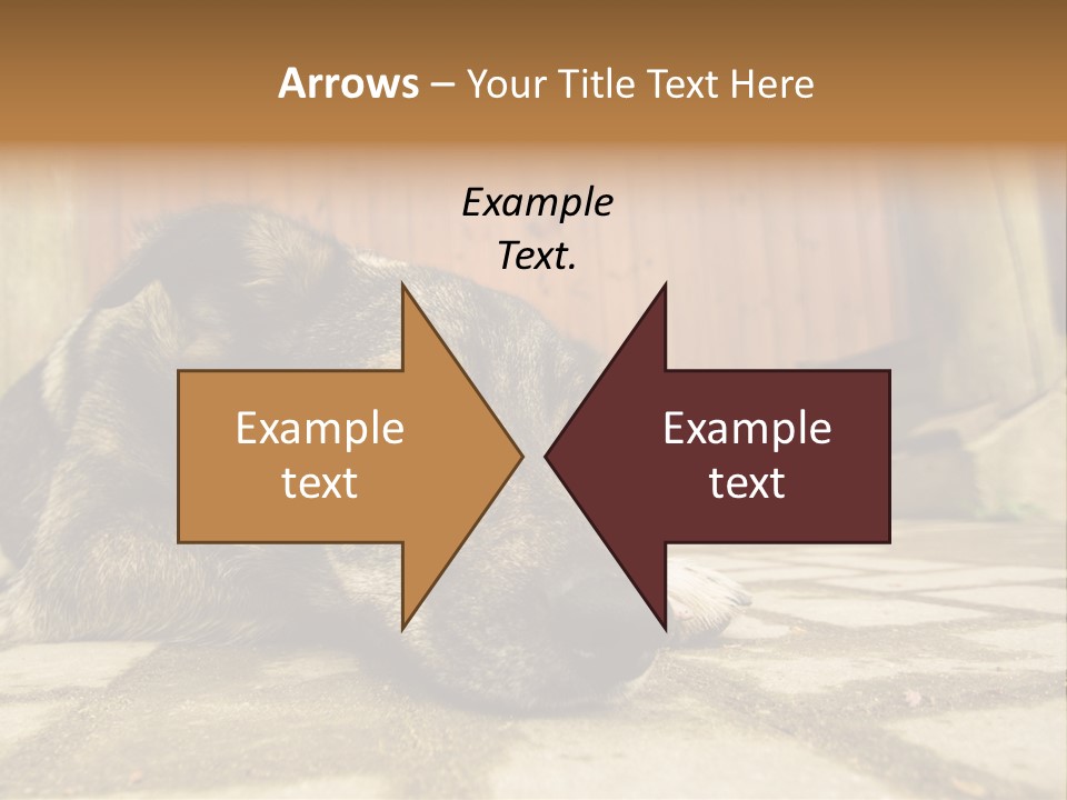 A Dog Laying On The Ground With A Name Plate PowerPoint Template