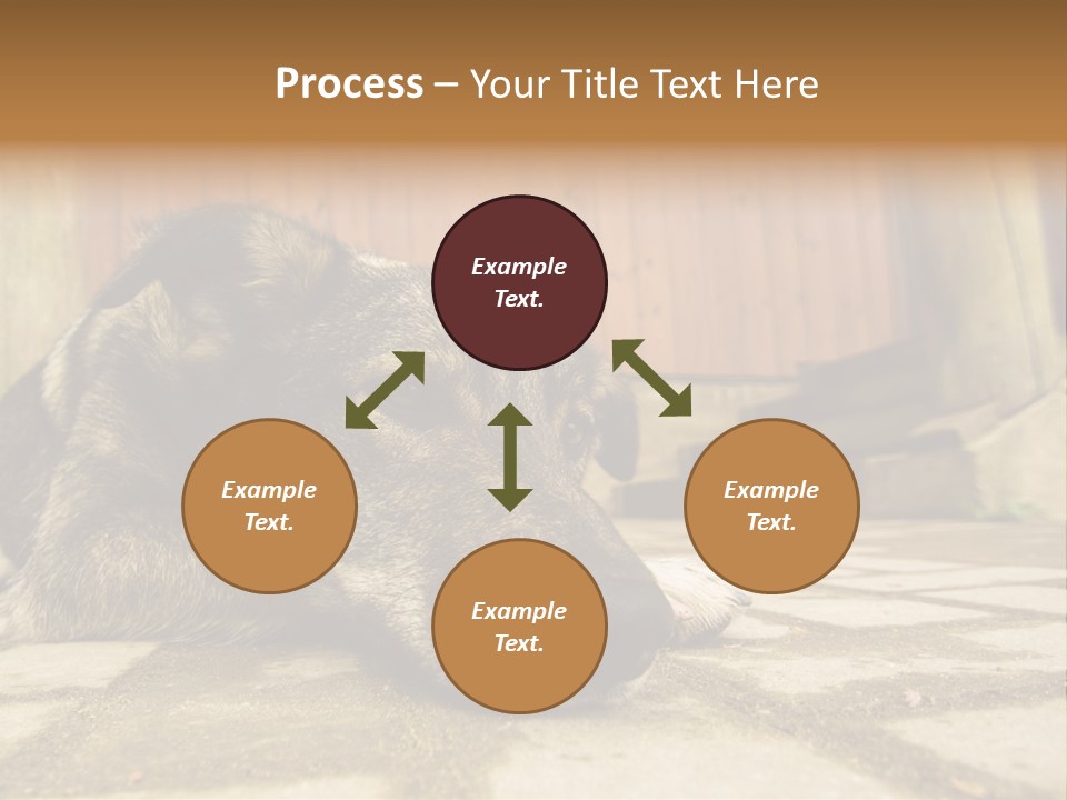 A Dog Laying On The Ground With A Name Plate PowerPoint Template