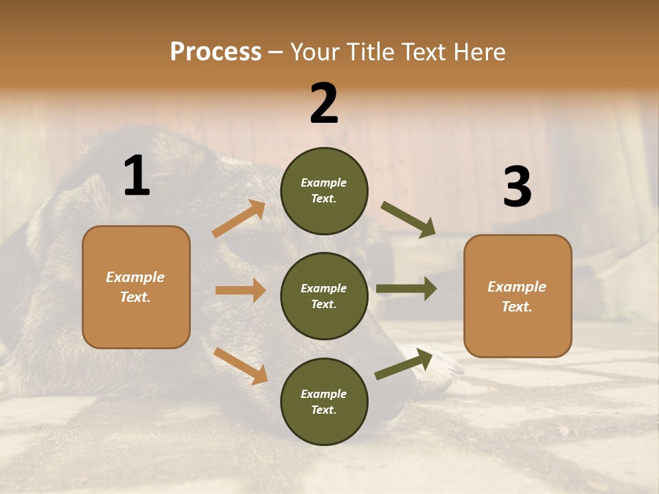 A Dog Laying On The Ground With A Name Plate PowerPoint Template