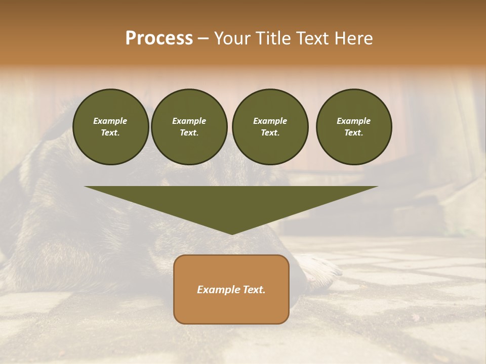 A Dog Laying On The Ground With A Name Plate PowerPoint Template