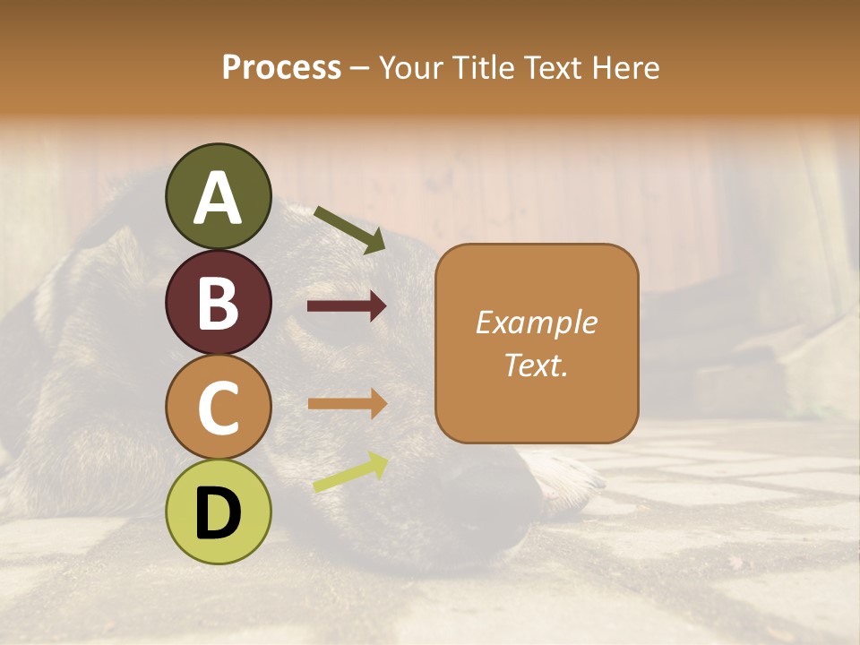 A Dog Laying On The Ground With A Name Plate PowerPoint Template