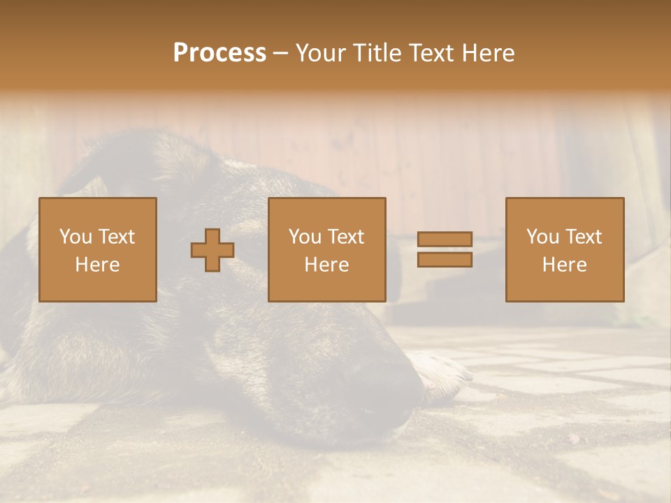 A Dog Laying On The Ground With A Name Plate PowerPoint Template