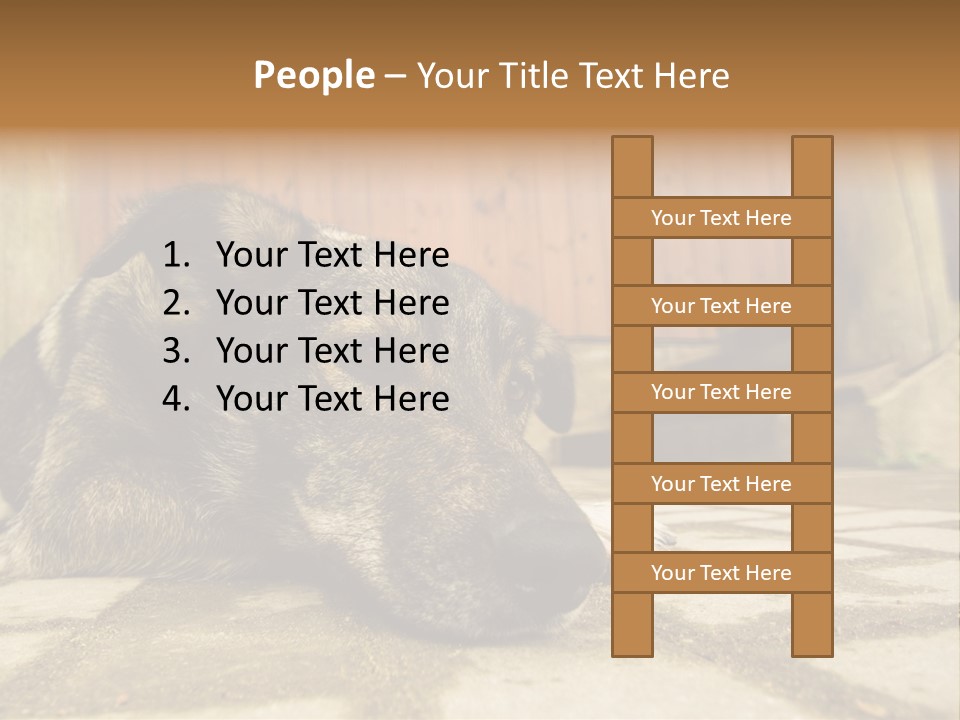 A Dog Laying On The Ground With A Name Plate PowerPoint Template