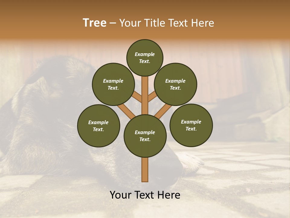 A Dog Laying On The Ground With A Name Plate PowerPoint Template