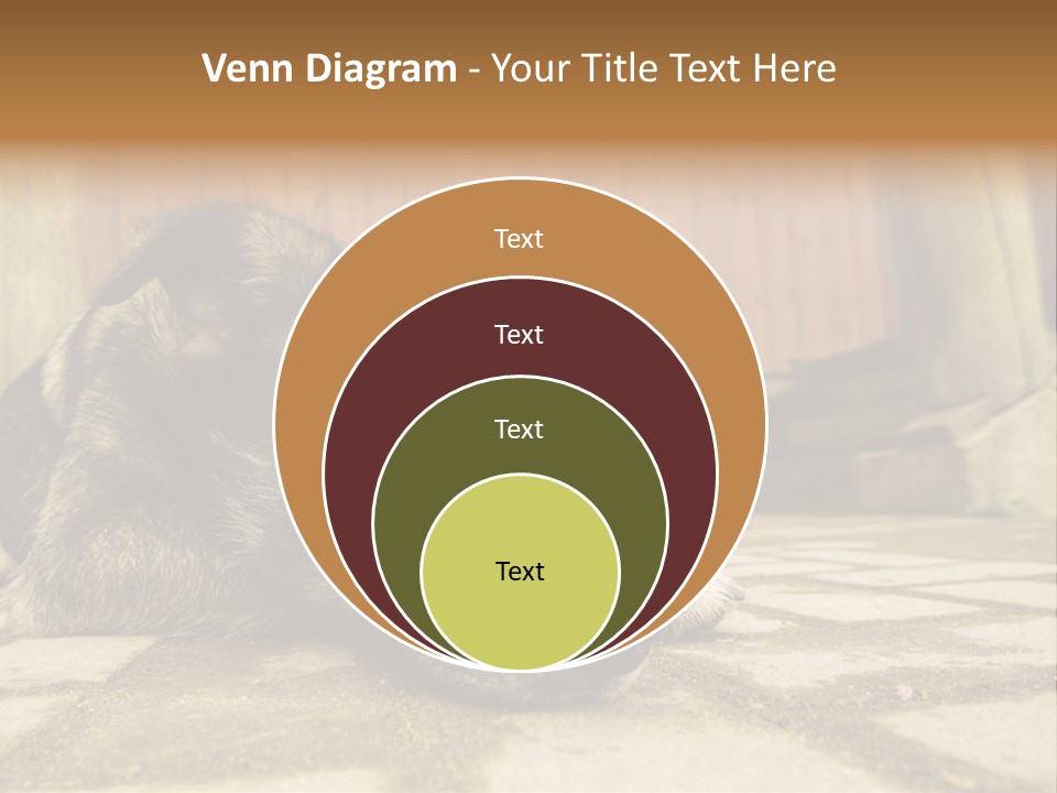 A Dog Laying On The Ground With A Name Plate PowerPoint Template