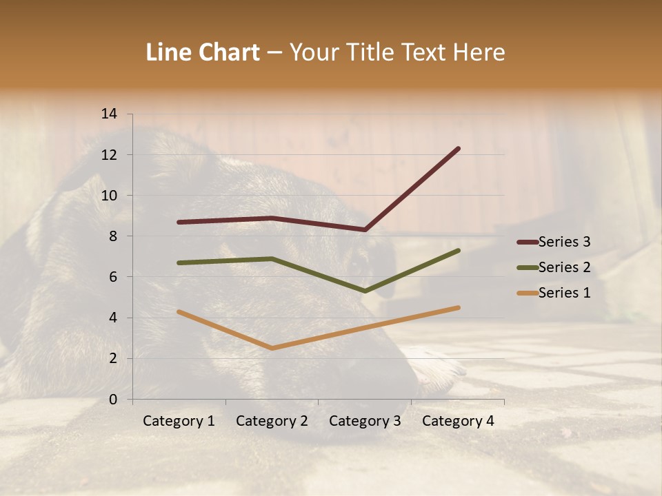 A Dog Laying On The Ground With A Name Plate PowerPoint Template