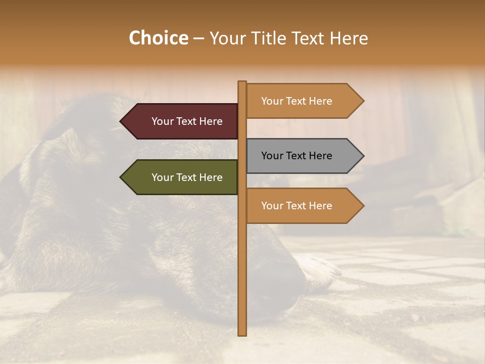 A Dog Laying On The Ground With A Name Plate PowerPoint Template