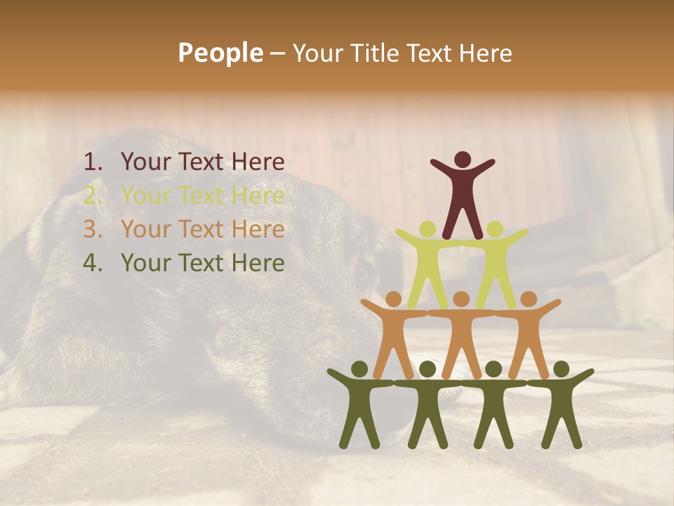 A Dog Laying On The Ground With A Name Plate PowerPoint Template