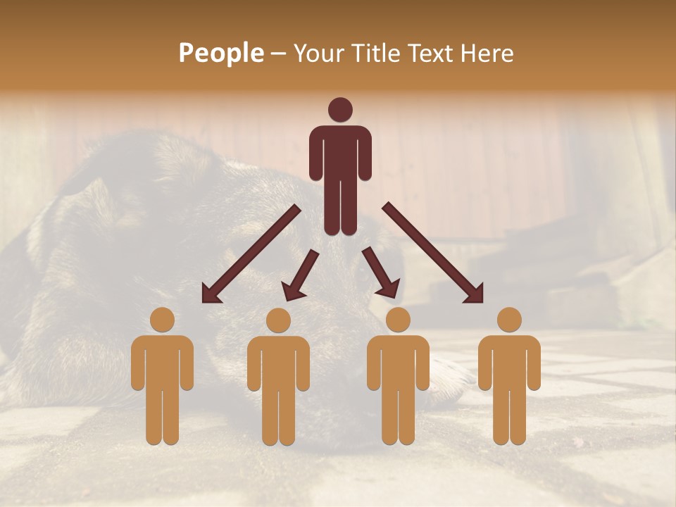 A Dog Laying On The Ground With A Name Plate PowerPoint Template