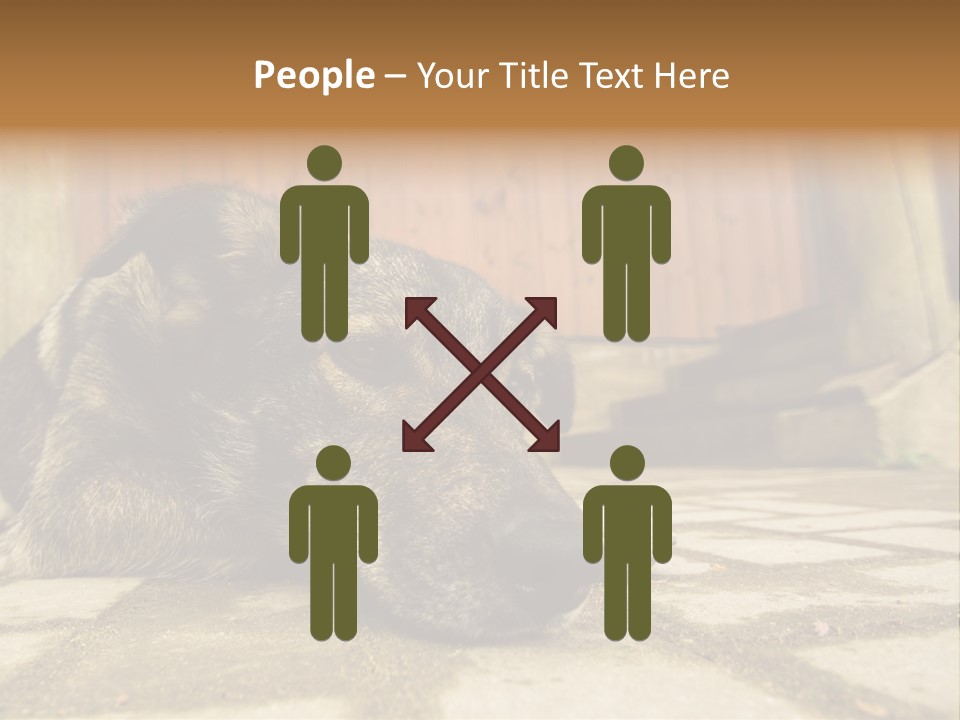 A Dog Laying On The Ground With A Name Plate PowerPoint Template