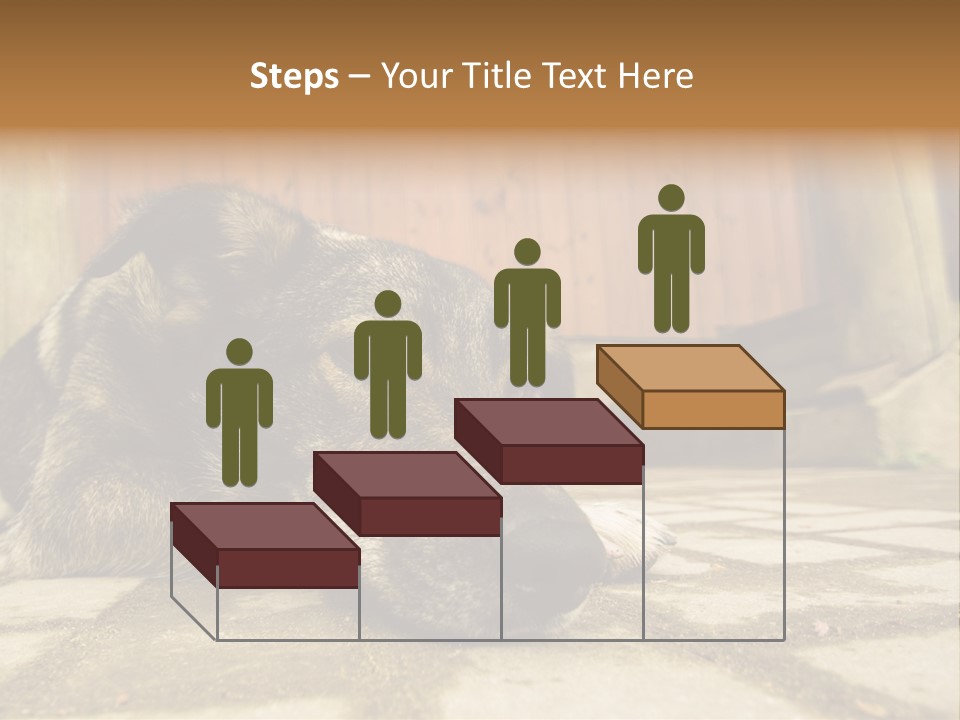 A Dog Laying On The Ground With A Name Plate PowerPoint Template