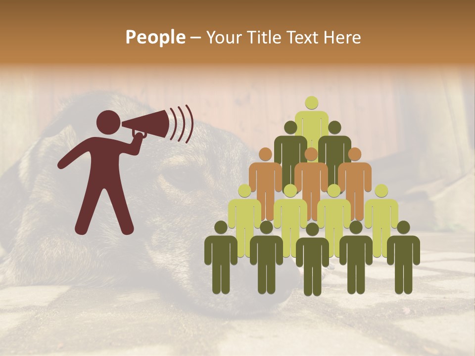 A Dog Laying On The Ground With A Name Plate PowerPoint Template