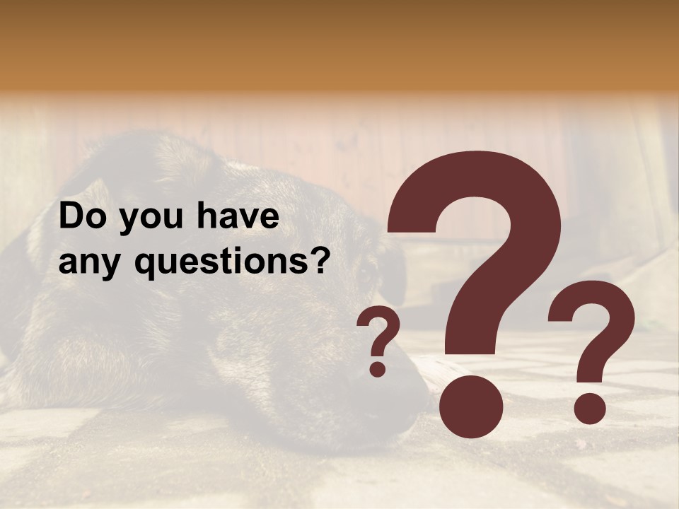 A Dog Laying On The Ground With A Name Plate PowerPoint Template