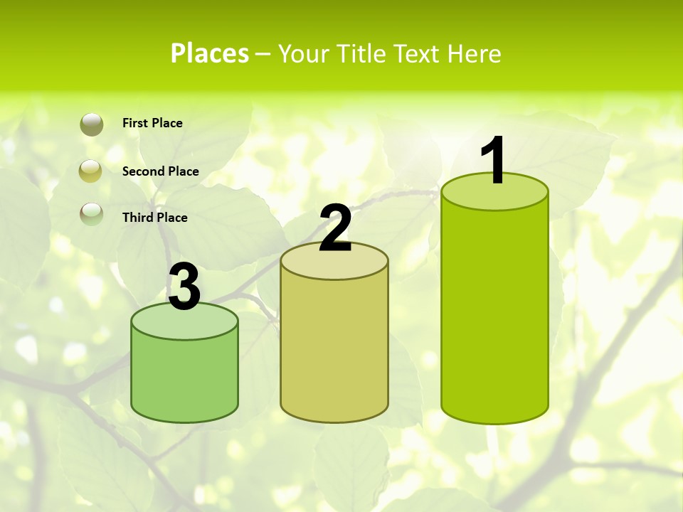 Trees Summer Spring PowerPoint Template