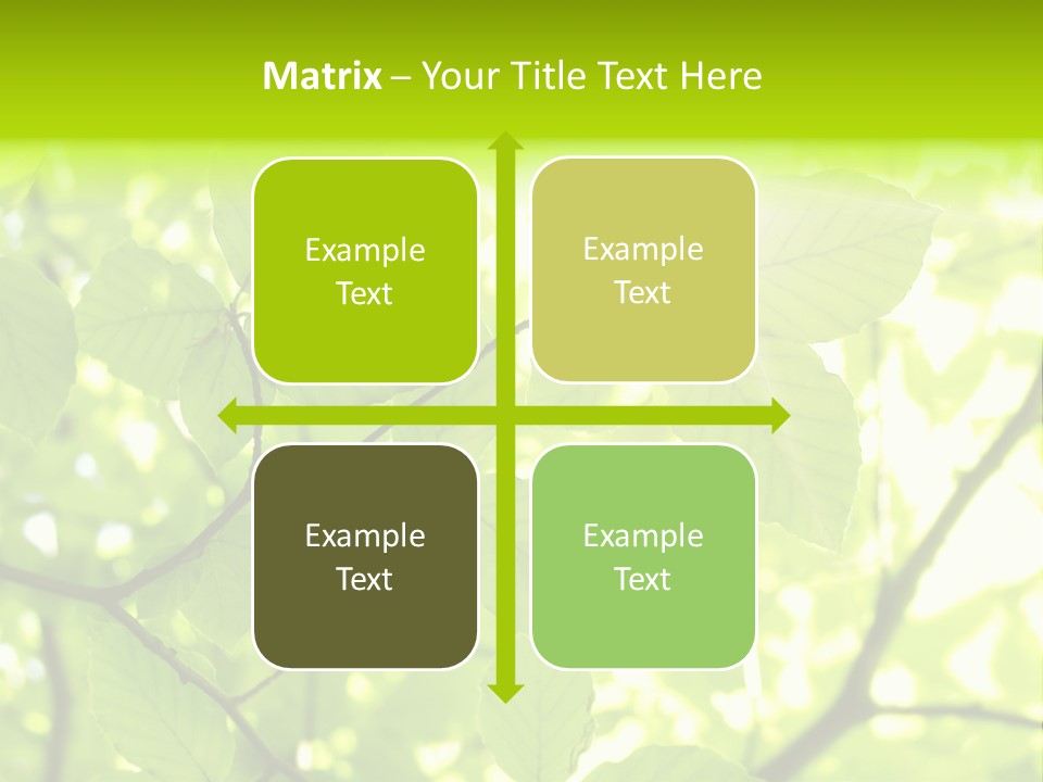 Trees Summer Spring PowerPoint Template